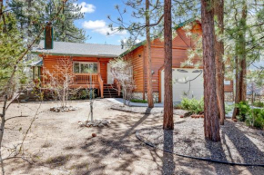 Aspen grove #1041